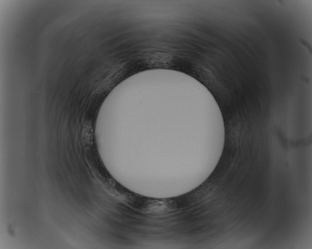 X0000100480083200807031902