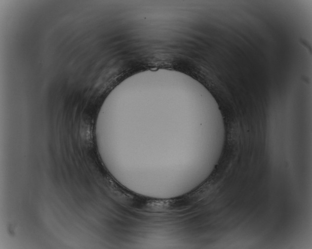 X0000100480084200807031902