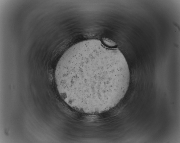 X0000100480085200807031902