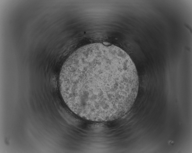 X0000100480086200807031902