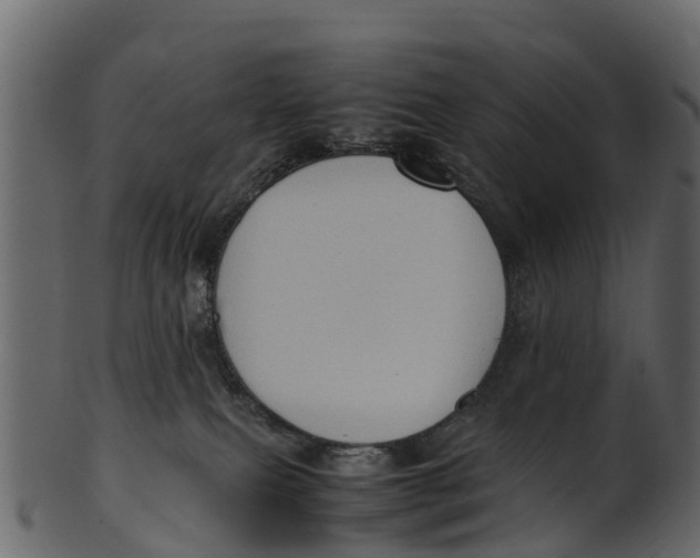 X0000100480087200807031902