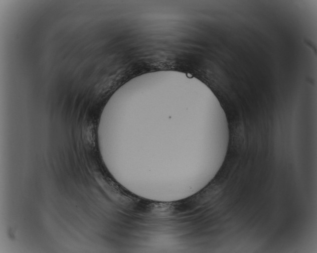 X0000100480088200807031902