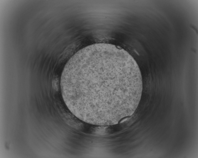 X0000100480090200807031902