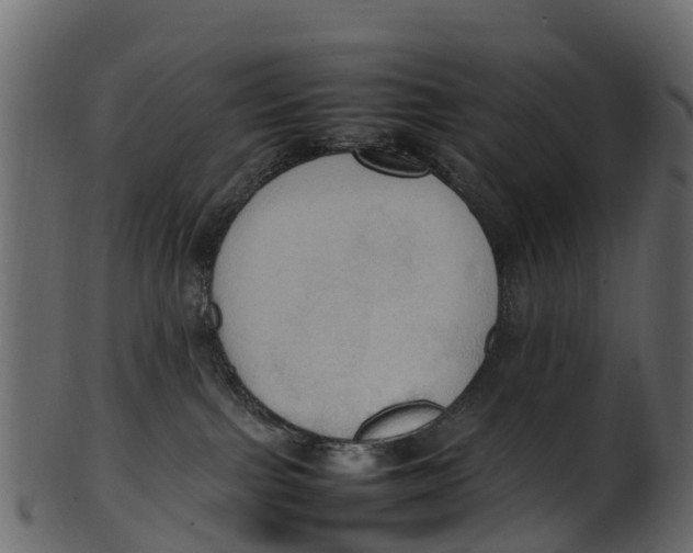 X0000100480091200807031902