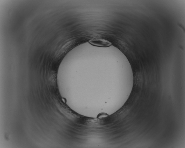 X0000100480092200807031902