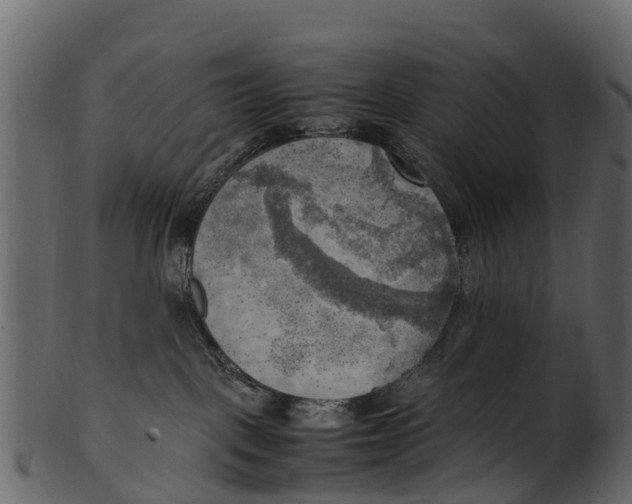 X0000100480093200807031902