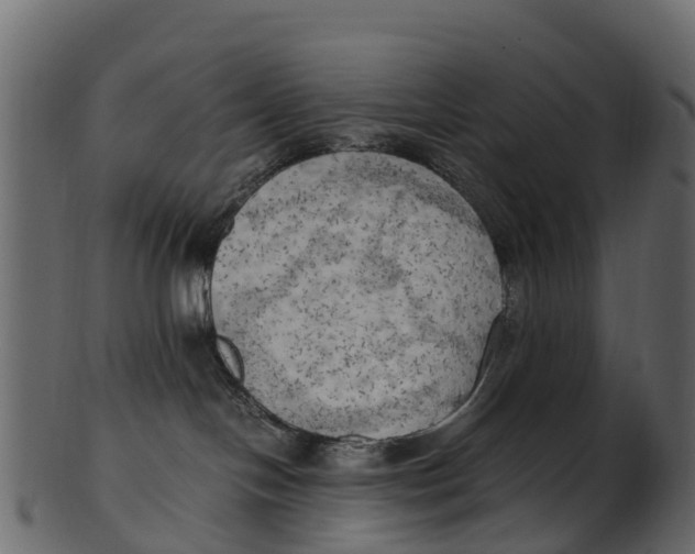 X0000100480094200807031902