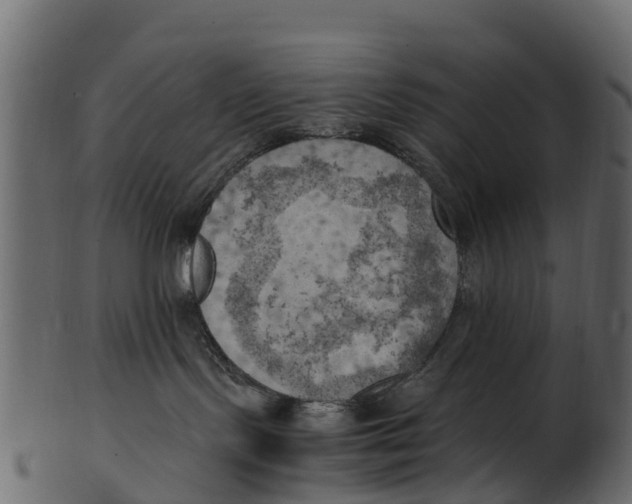 X0000100480095200807031902