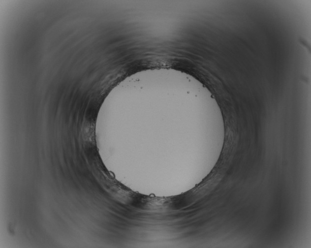 X0000100480096200807031902