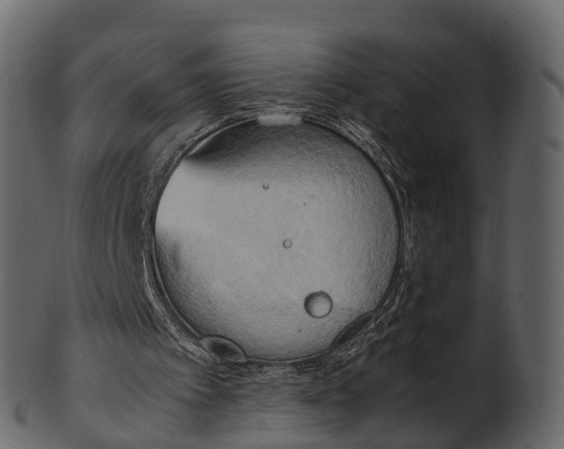 X0000100480097200807031902