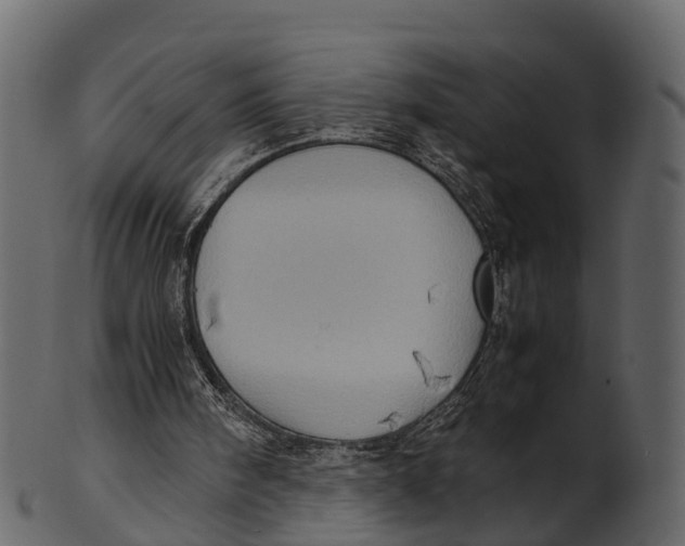 X0000100480098200807031902