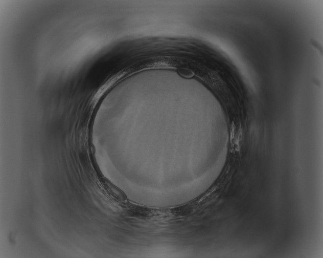 X0000100480099200807031902