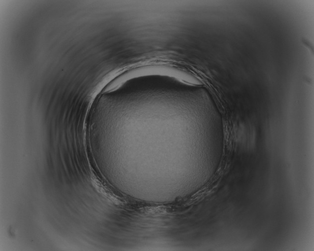 X0000100480100200807031902