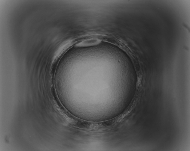 X0000100480101200807031902