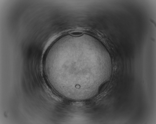 X0000100480102200807031901