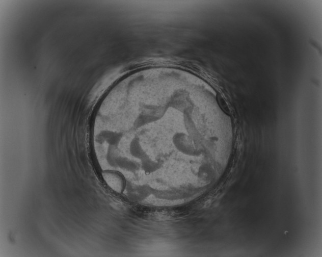 X0000100480103200807031901