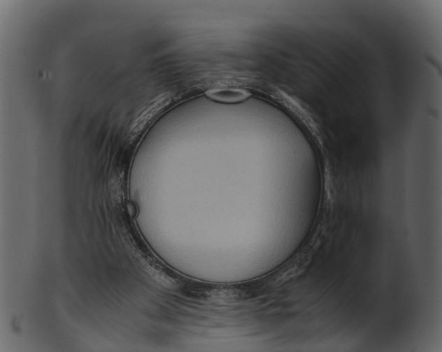 X0000100480105200807031901