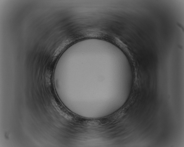 X0000100480106200807031901