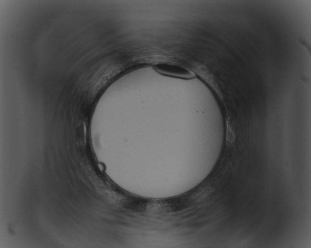 X0000100480109200807031901