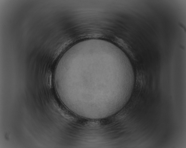 X0000100480110200807031901