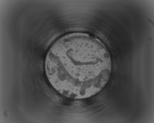 X0000100480111200807031901