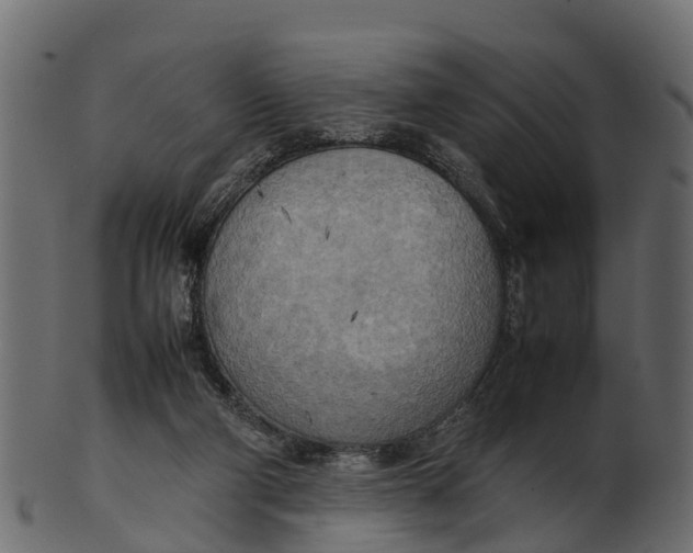 X0000100480114200807031901