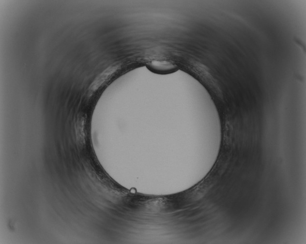 X0000100480116200807031901