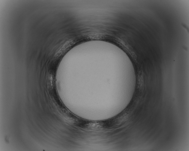 X0000100480117200807031901