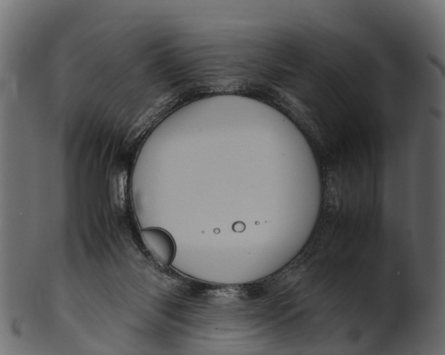 X0000100480118200807031901