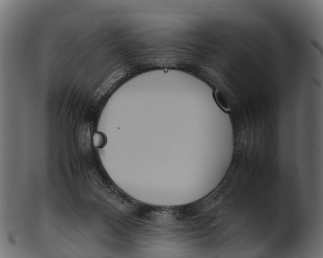 X0000100480120200807031901