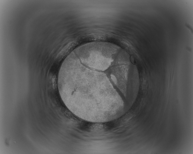 X0000100480123200807031901