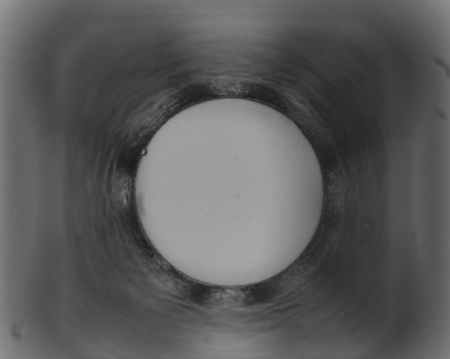 X0000100480125200807031901