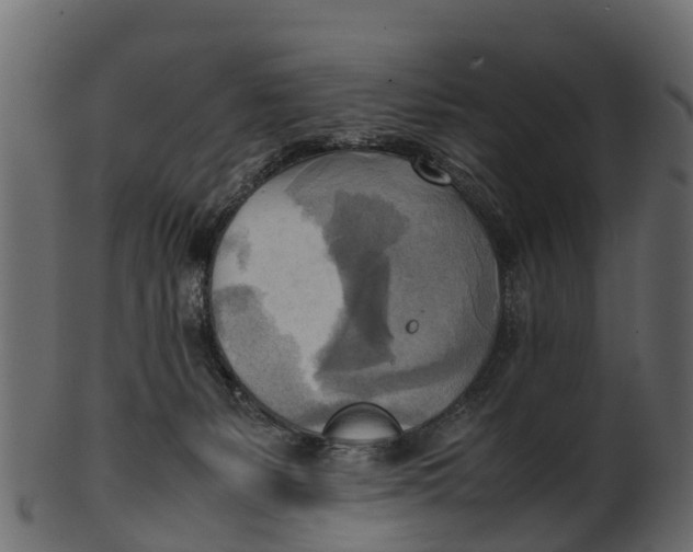 X0000100480127200807031901