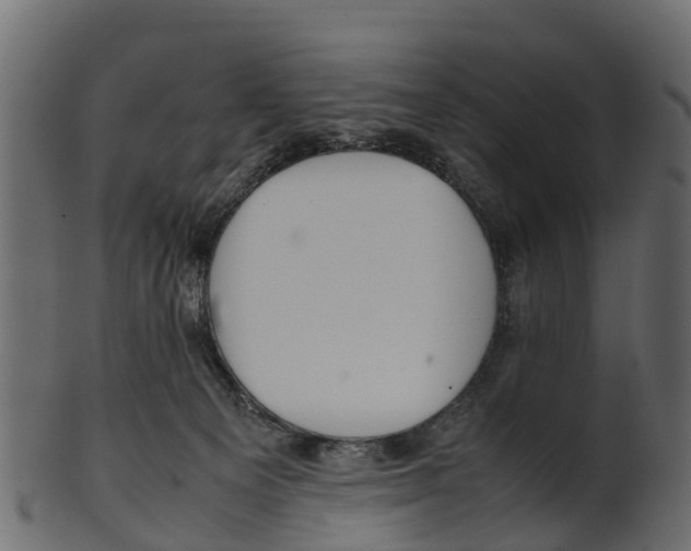 X0000100480129200807031901