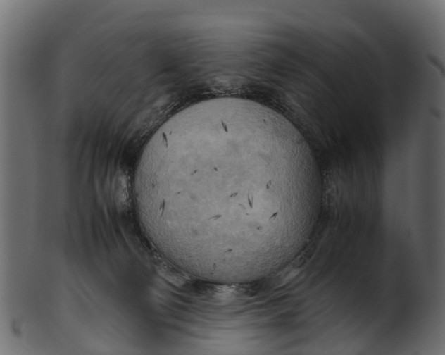 X0000100480130200807031901