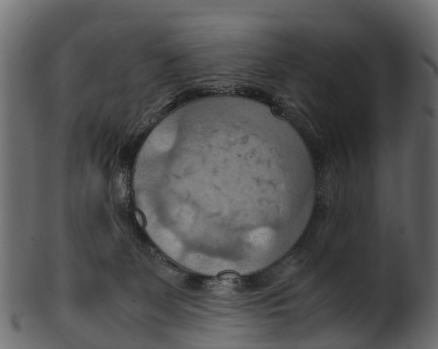 X0000100480131200807031901