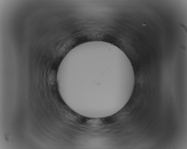 X0000100480133200807031901