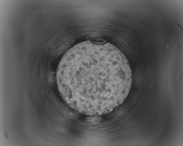 X0000100480135200807031901