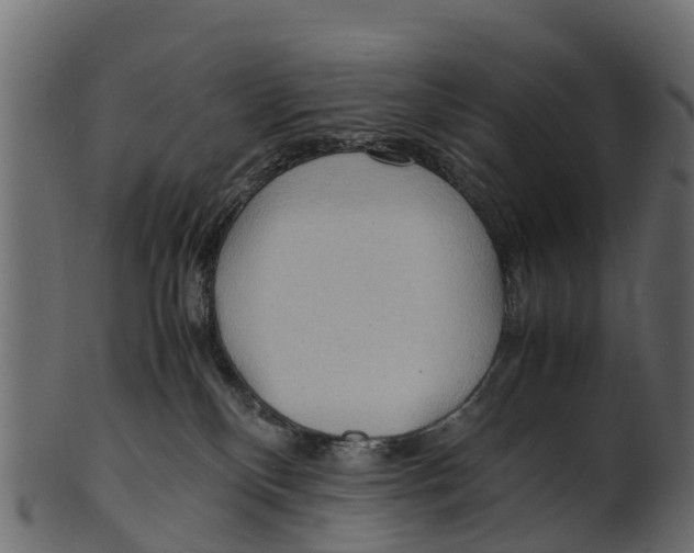 X0000100480136200807031901