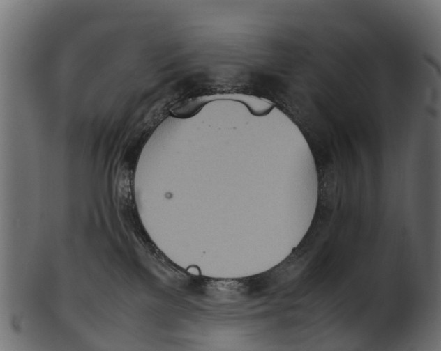 X0000100480137200807031901