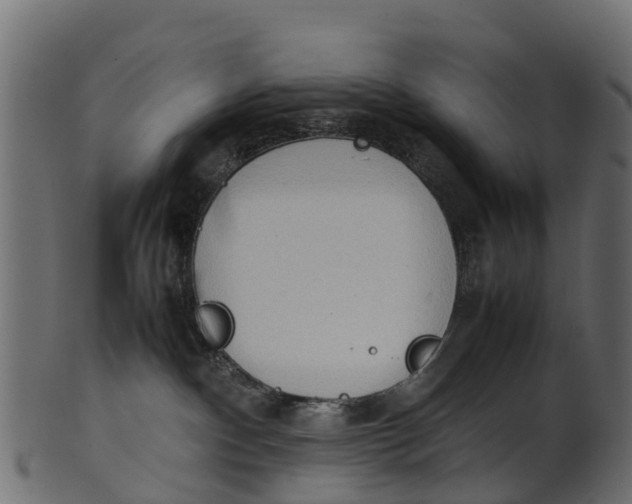 X0000100480140200807031901