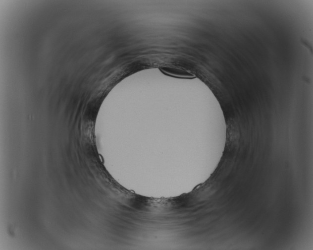 X0000100480141200807031901