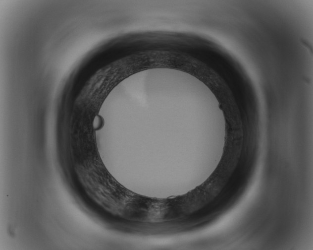 X0000100480143200807031901