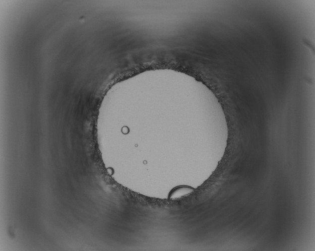 X0000100480144200807031901