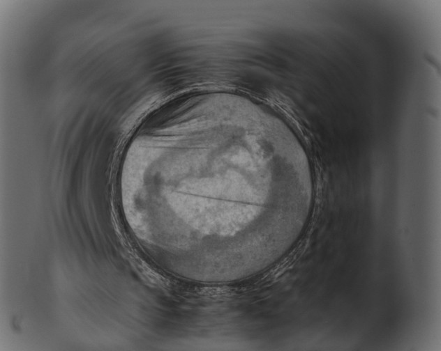 X0000100480145200807031900