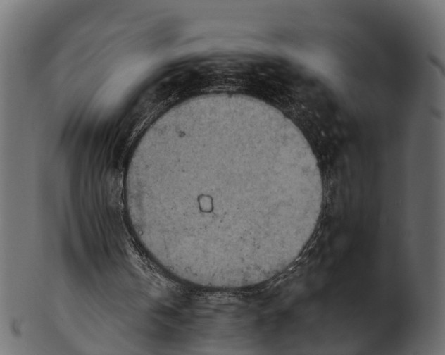 X0000100480146200807031900