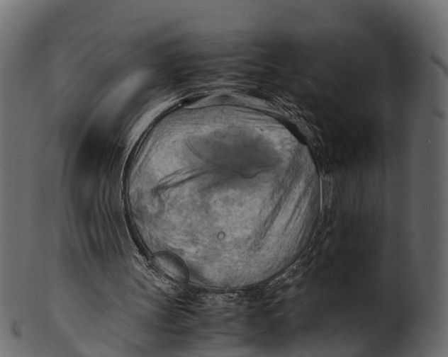 X0000100480147200807031900