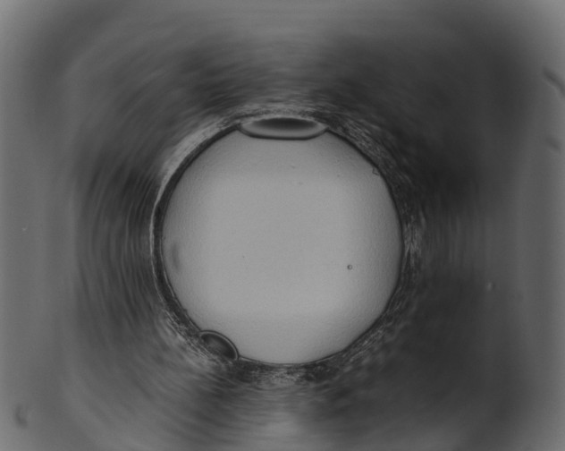 X0000100480148200807031900