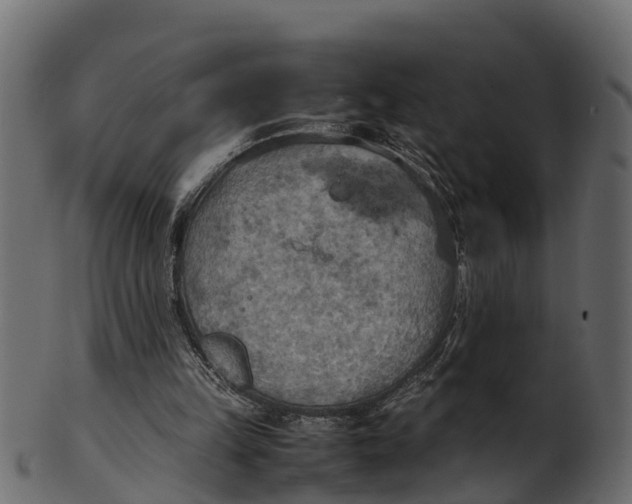 X0000100480149200807031900