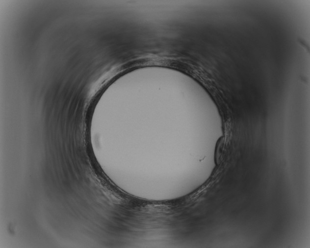 X0000100480150200807031900